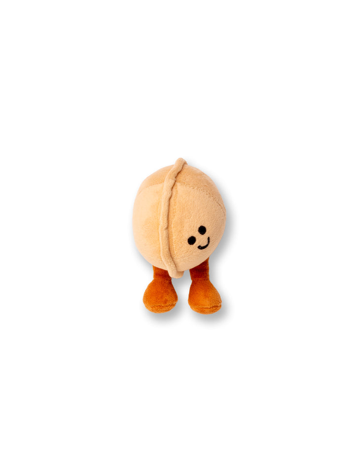 Mr. Walnut The little nut