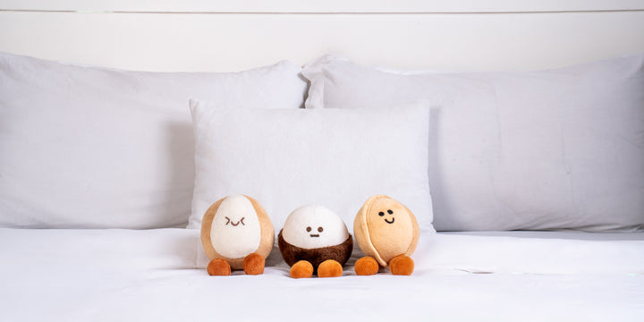 Lil Coconut  The little nut