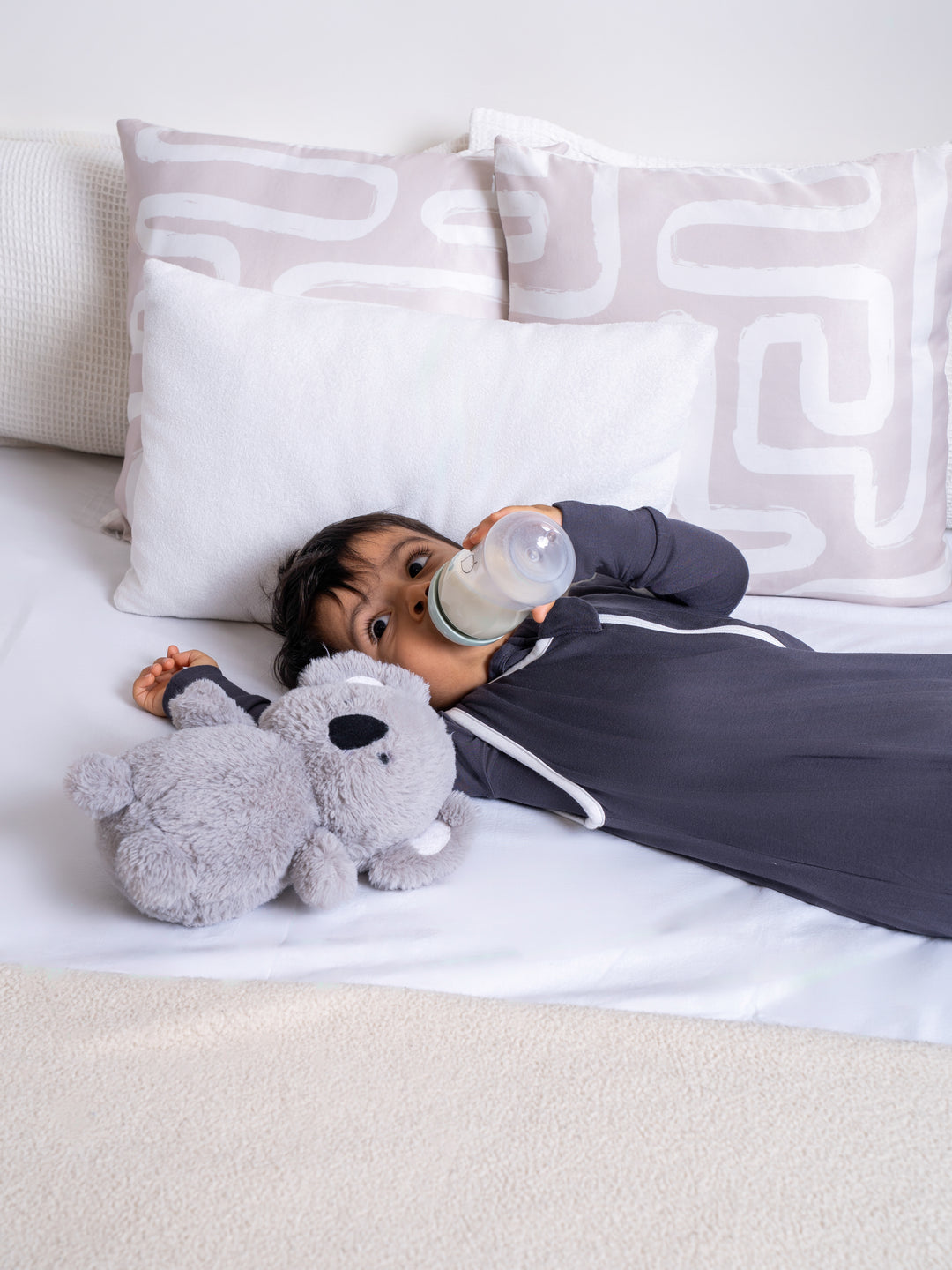 Koa The Koala bear