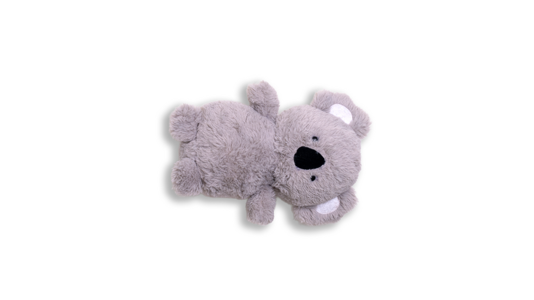 Koa The Koala bear